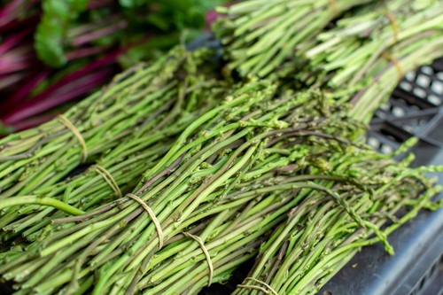 Echter wildspargel aus - echter,