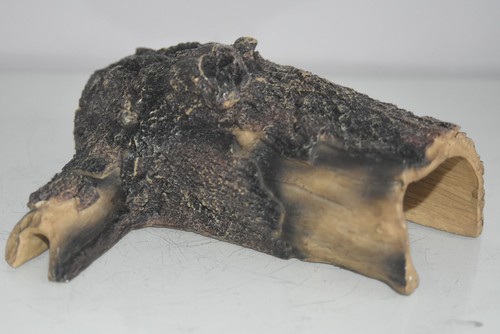 Komodo großes vivarium - großes,