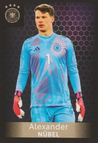 Panini family ferrero dfb 2026 - family,