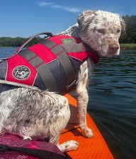 Hunter® MOSS Hunde Schwimmweste Rettungsweste Hundeweste Gr. M Griff Neuwertig