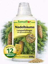 Dünger- Nadelgehölze  Thuja