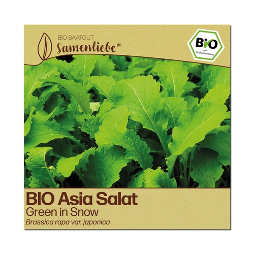 Bio salat samen sorte green - bio,
