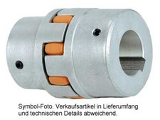 KTR Rotex 38 GG Kupplung