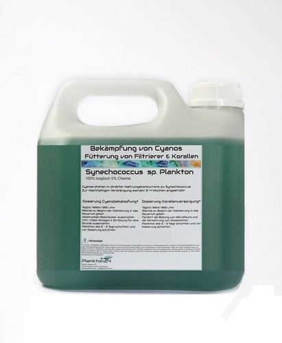 Liter synechococcus sp - synechococcus,