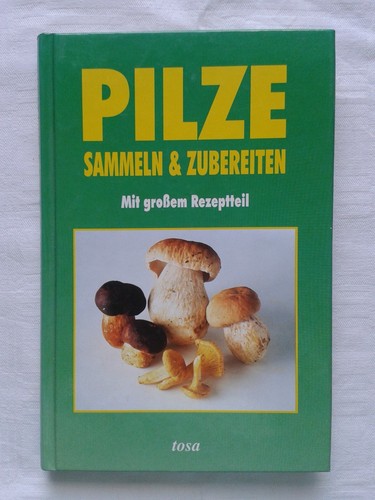 Pilze sammeln und zubereiten
