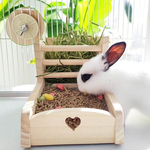 Kaninchen heu feeder food - -heu, -feeder,