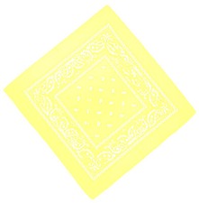 Bandana Paisley 100% Baumwolle