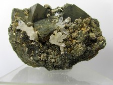 Pyrit mit Quarz-Zeptern