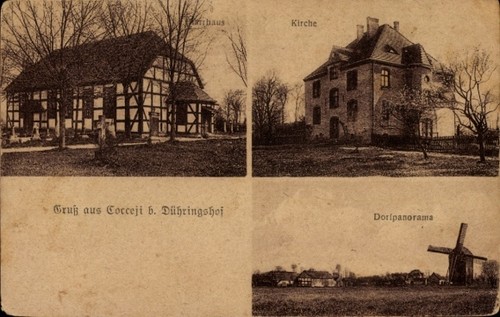 Krzyszczyna cocceji neudorf - ak,