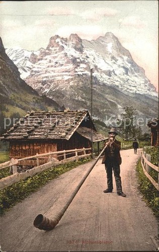 Alphorn alphornbläser - alphorn,