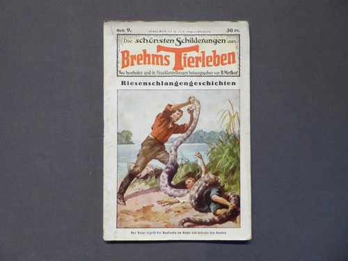Die schönsten schilderungen - die,