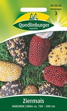 Zier-Mais Harlekin Samen von Quedlinburger Saatgut