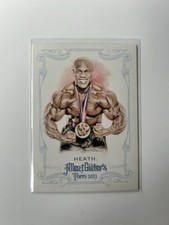 2013 Topps Allen & Ginter Body