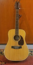 ARIA Westerngitarre 12-saitig  Westernguitar Dreadnought - mit Koffer - TOP