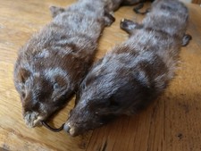 Nerz Stola Kragen Schal braun