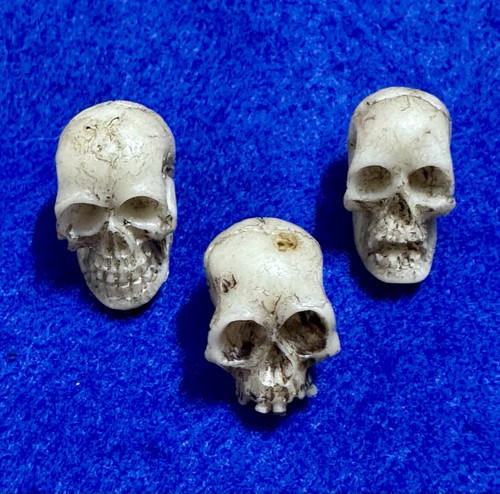 Totenkopf mini fee garten - 3x,