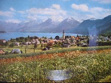 DAS KLINGENDE AUTOGRAMM*AMADEO