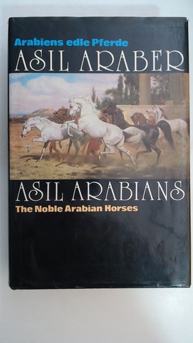 Asil araber abrabiens edle - araber.,