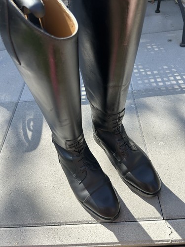 Reitstiefel steeds - steeds, 42