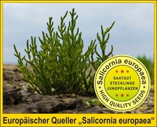 Q*⭐ Pflanzen für Aquakultur