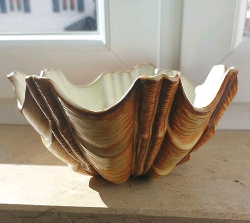 Muschelschale servierschale - muschelschale,