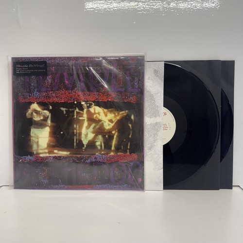 Temple the dog - temple,