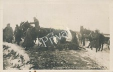 Foto PK WK I Kaiserliches Heer Soldaten totes Pferd türkisches Geschoss K1.25