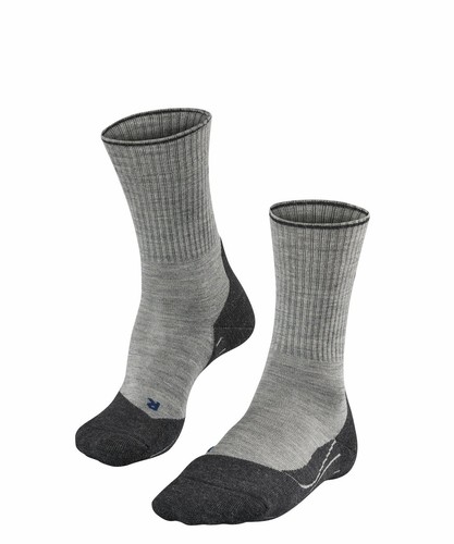 Falke tk2 wool - falke, herren