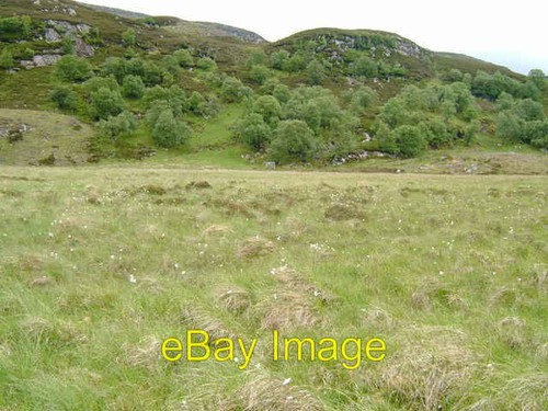 Foto 6x4 vogelfalle gleann - 6x4,