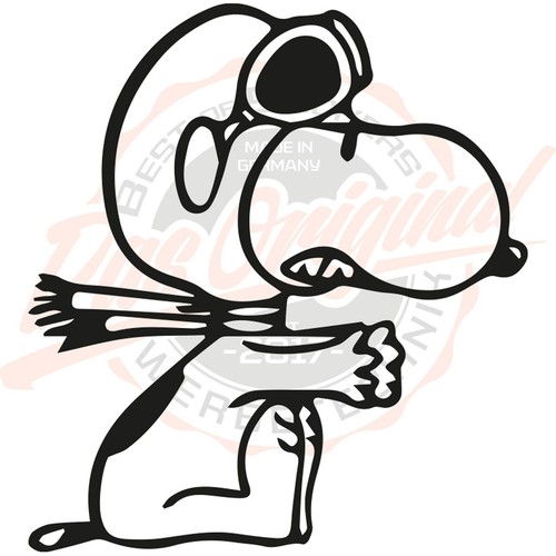 Snoopy fährt 10 - x, cm