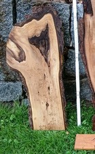 Deko Nussbaum WALNUSS Schwarten BRETT ca 65 cm Baumkante - Garderobe DIY Basteln