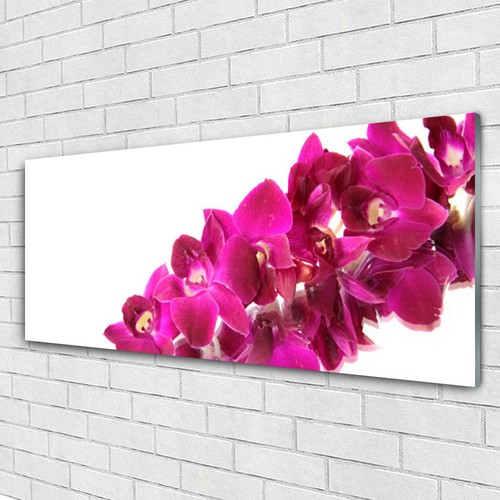 Glasbilder wandbild druck auf - glasbilder,