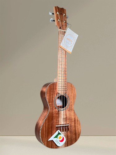 Apc traditional concert - apc,