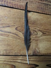 Rabe Schmuck Feder Tracht Hutgesteck Deko Hut Schmuck !!