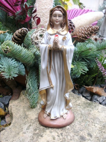 Madonna rosa mystica cm - mystica, 20