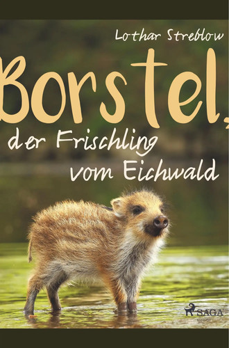 Lothar streblow borstel der - |, borstel,