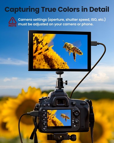 7-Zoll-Kamera-Feld-HDMI-Monito