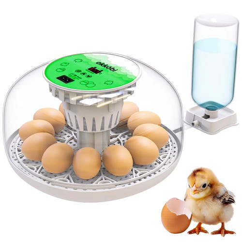 Inkubator für eier - eier,