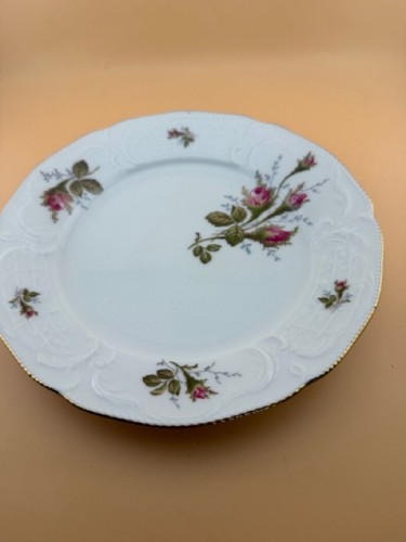 Rosenthal sanssouci moosrose - sanssouci,