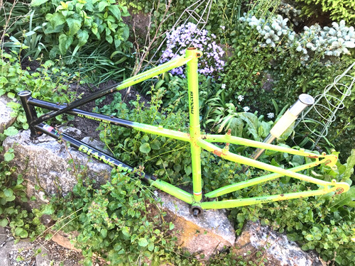 Bianchi all terran bike - bianchi,