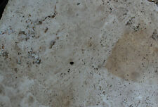  BruchsteinplattenTravertin Konvolut Terassenplatten Polygonal