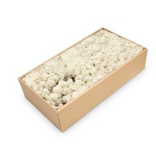 Nadeco islandmoos natur - natur, 500g