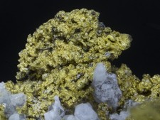 Gold rosia poieni mine - poieni,