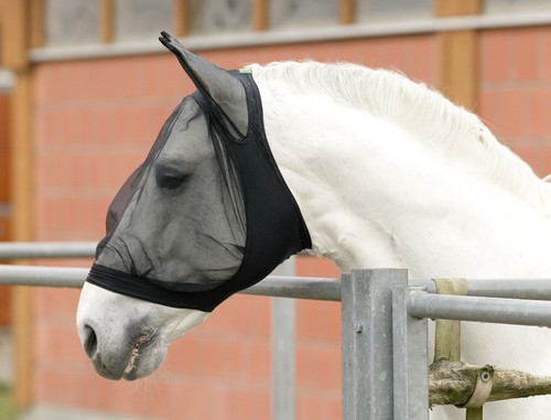 Fliegenmaske mit ohrenschutz - fliegenmaske,