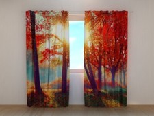 Fotogardine wald herbst - fotogardine, im