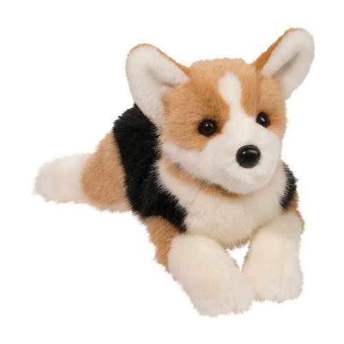 Corgi konner hund - konner,