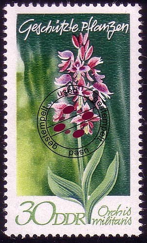 1566 heimische pflanzen - heimische,