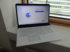 SONY VAIO 17,3 - SVE1712C1EW  WINDOWS 11 - DUAL CORE - NOTEBOOK - LAPTOP 500 GB