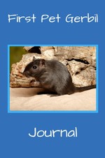 Gerbil Journal: Fun