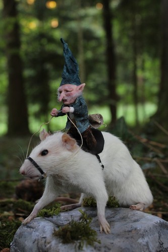 Taxidermie ratte taxidermy - ratte,